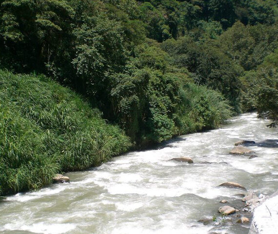 メキシコの豊かな自然を流れる清らかな川の風景