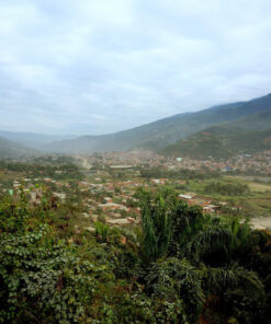 ボリビア・ユンガス地方の山間に広がる農村の俯瞰