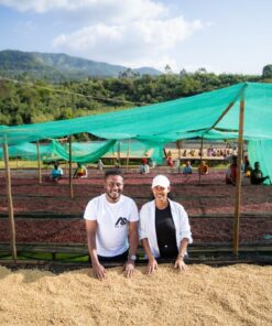 アフリカンベッドで乾燥工程中のコーヒー豆とタミル・タデッセ氏。緑の遮光ネットの下で丁寧に作業が行われている。