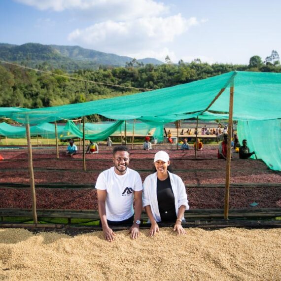 アフリカンベッドで乾燥工程中のコーヒー豆とタミル・タデッセ氏。緑の遮光ネットの下で丁寧に作業が行われている。