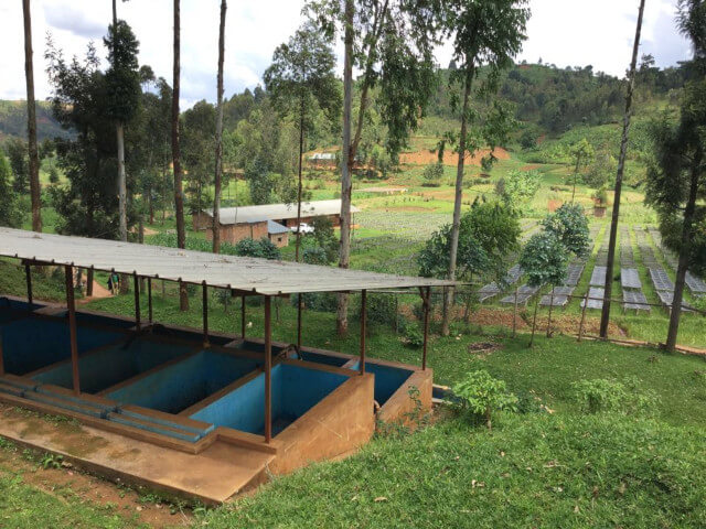 ヤンダロCWSの青い発酵・水洗用水槽と、奥に広がる乾燥棚の風景